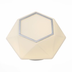 Светильник настенно-потолочный ST-Luce SL558.052.01