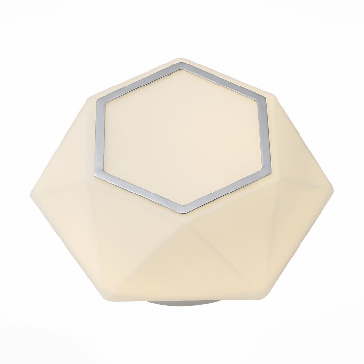 Светильник настенно-потолочный ST-Luce SL558.052.01