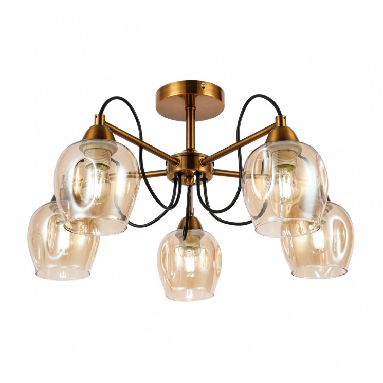 Светильник потолочный Evoluce ACRO SLE110002-05