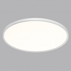 Настенно-потолочный светильник Сонекс 7659/48L ALFA WHITE