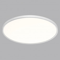 Настенно-потолочный светильник Сонекс 7659/48L ALFA WHITE