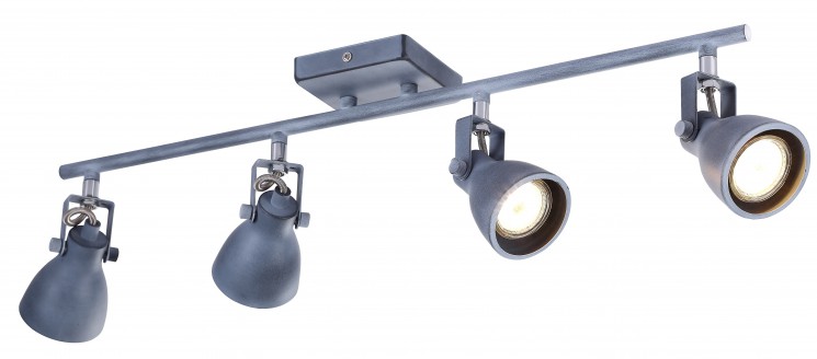 Светильник потолочный Arte lamp A9189PL-4GY GOTTO