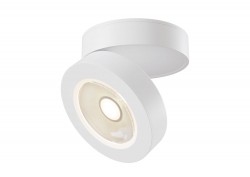 Потолочный светильник Maytoni C022CL-L7W Alivar