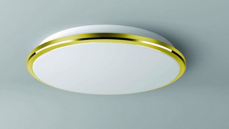 Светильник настенно-потолочный Citilux CL702302W Луна ip54