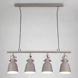 Подвесной светильник Eurosvet 50083/4 серый Projector