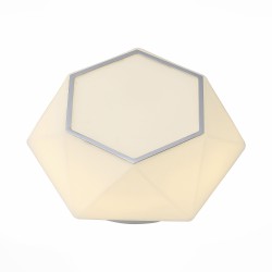 Светильник настенно-потолочный ST-Luce SL558.502.01