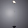 Торшер ARTE Lamp A1822PN-1BK SCEPTRUM