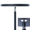 Торшер ARTE Lamp A1822PN-1BK SCEPTRUM