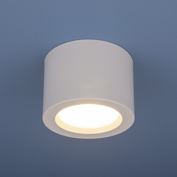 Накладной потолочный LED светильник Elektrostandard DLR026 6W 4200K белый матовый