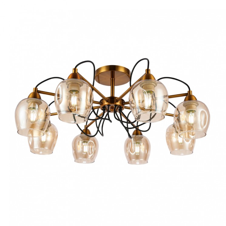 Светильник потолочный Evoluce ACRO SLE110002-08