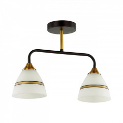 Люстра на штанге LUMION 5214/2CA Nettie