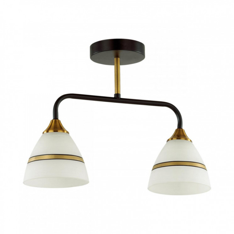 Люстра на штанге LUMION 5214/2CA Nettie